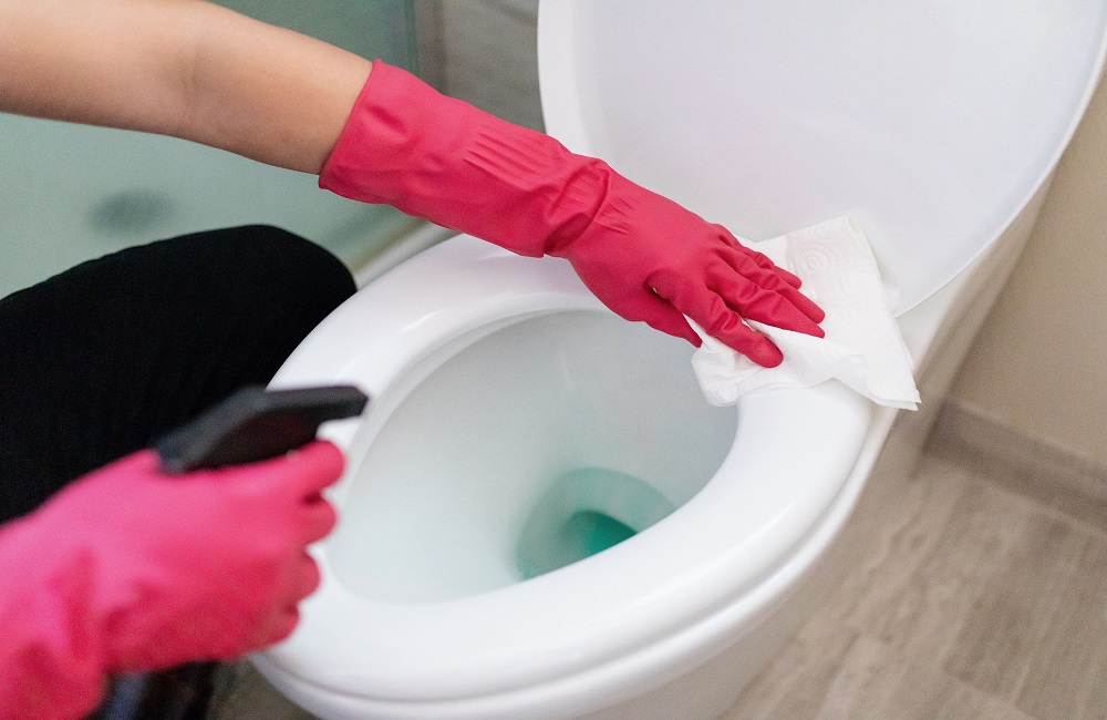 How To Clean Toilet Bowl