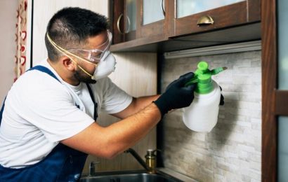 How Much Does Pest Control Cost