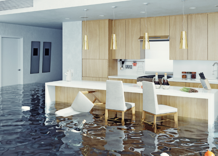 Dealing with Flood Damage